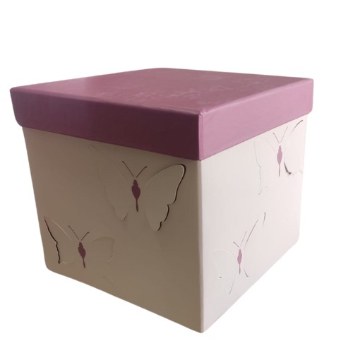 Caja Regalo Mariposas  Chica